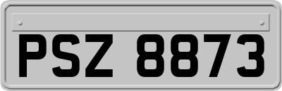 PSZ8873