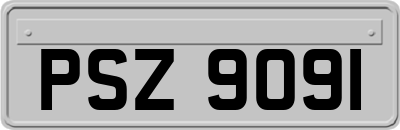 PSZ9091