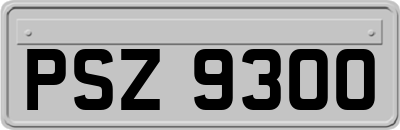 PSZ9300