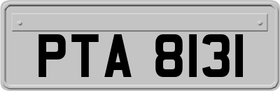 PTA8131