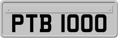 PTB1000