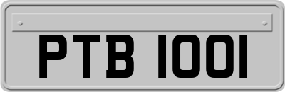 PTB1001