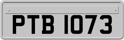 PTB1073
