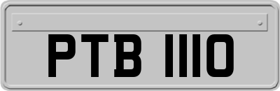 PTB1110