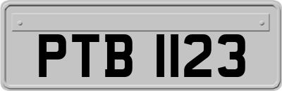 PTB1123