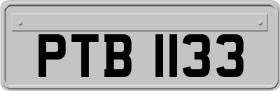 PTB1133