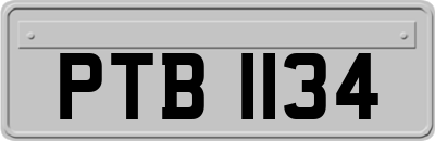 PTB1134