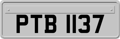 PTB1137