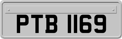 PTB1169