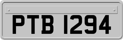 PTB1294