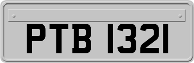 PTB1321