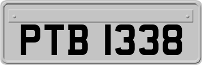 PTB1338