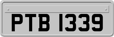 PTB1339
