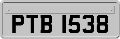 PTB1538