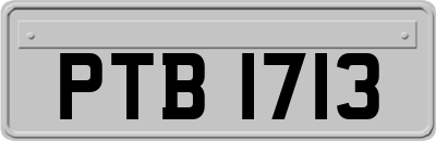 PTB1713