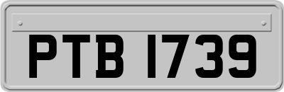 PTB1739
