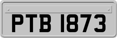 PTB1873