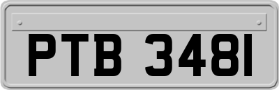 PTB3481