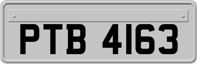 PTB4163