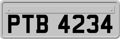PTB4234