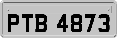 PTB4873