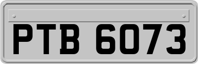 PTB6073