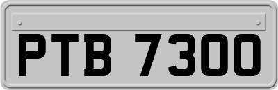 PTB7300