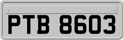 PTB8603