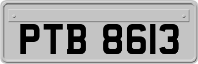 PTB8613