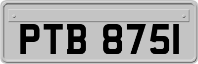 PTB8751