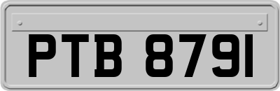 PTB8791