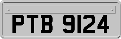 PTB9124