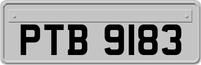 PTB9183