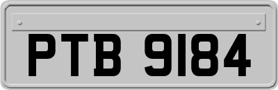 PTB9184