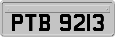 PTB9213