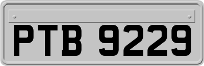 PTB9229