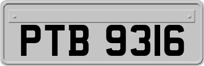 PTB9316