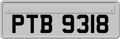 PTB9318