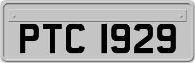PTC1929