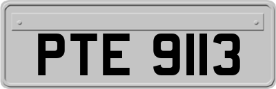 PTE9113