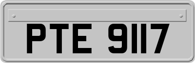 PTE9117