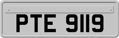 PTE9119