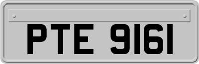 PTE9161