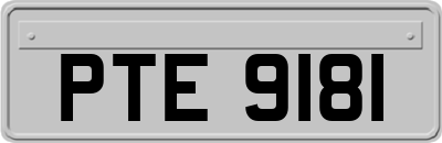 PTE9181