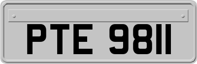 PTE9811