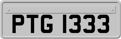 PTG1333
