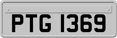 PTG1369