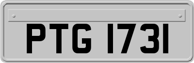 PTG1731