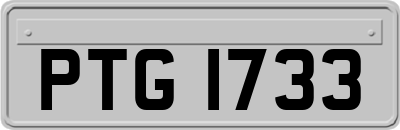 PTG1733