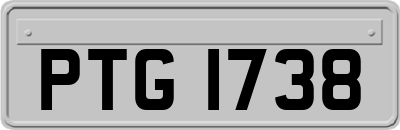 PTG1738